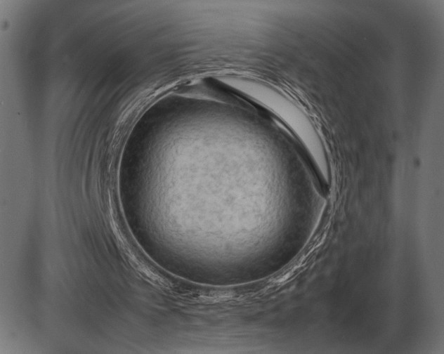 X0000086090097200704091337