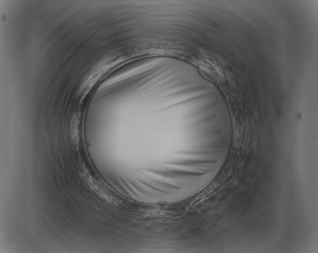 X0000086090098200704091337