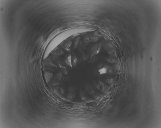 X0000086090099200704091337