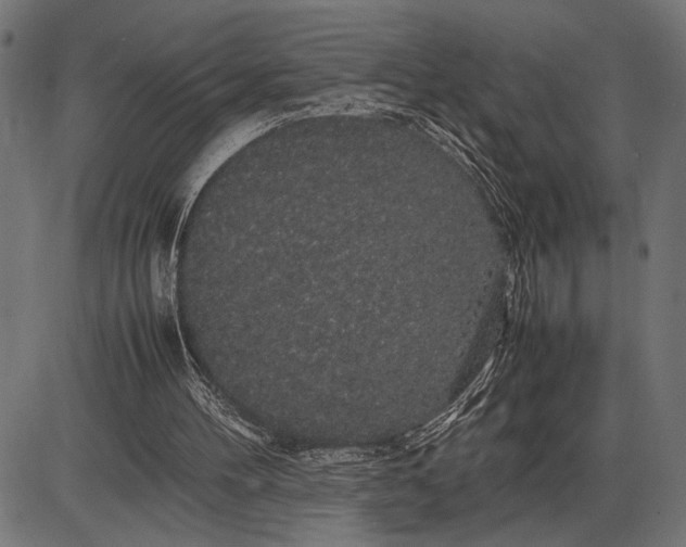 X0000086090100200704091337