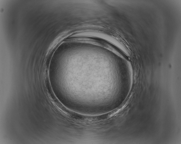 X0000086090101200704091337