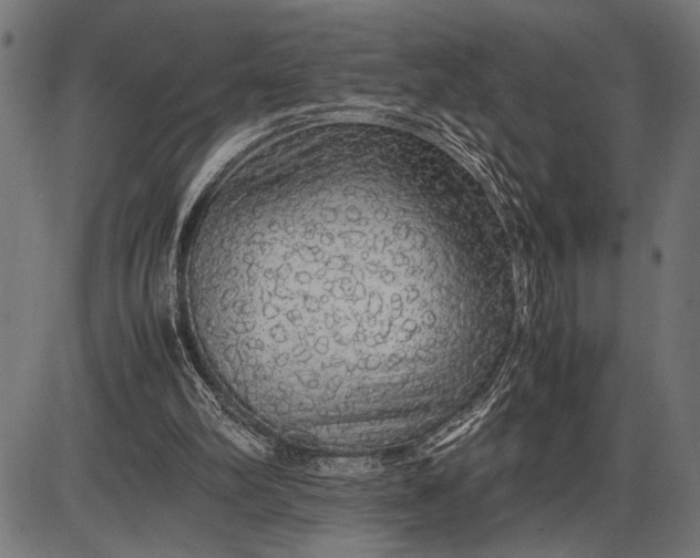 X0000086090102200704091337