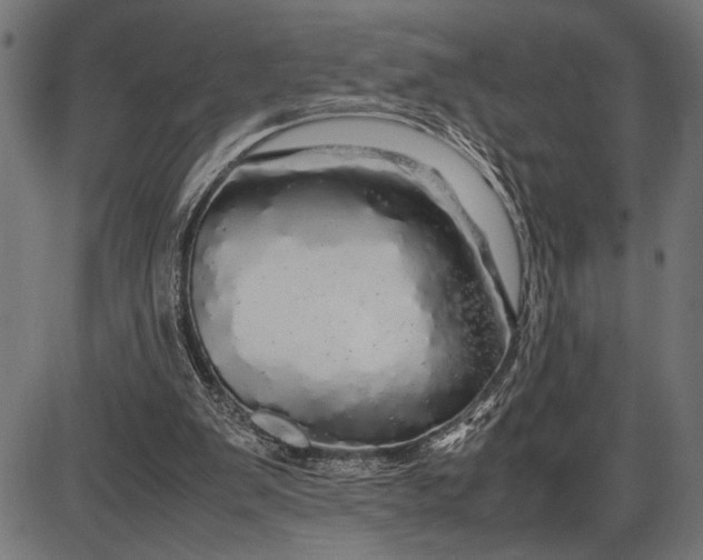 X0000086090103200704091337