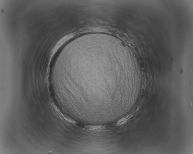 X0000086090104200704091337