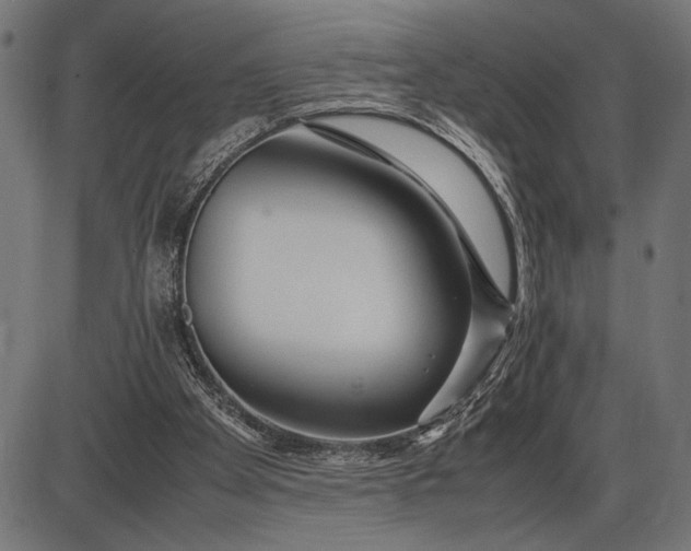 X0000086090105200704091337