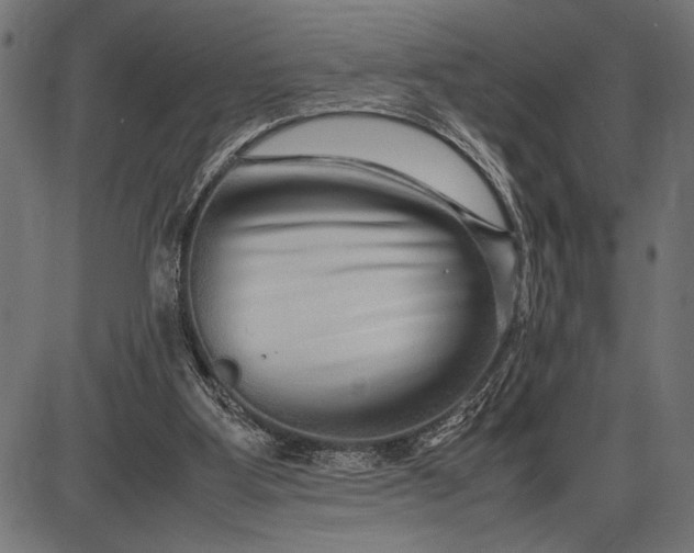 X0000086090107200704091337