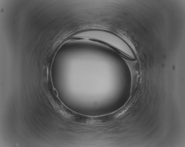 X0000086090109200704091337