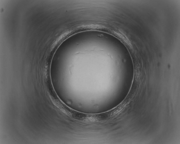 X0000086090111200704091337