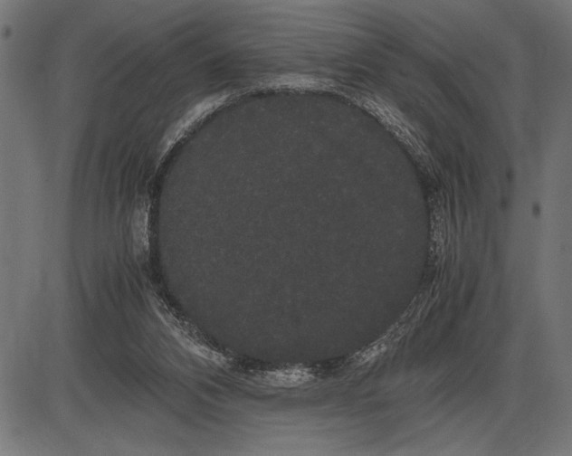 X0000086090112200704091337