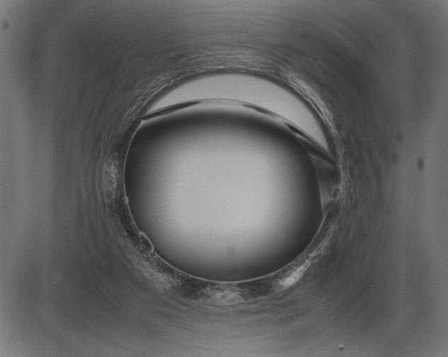 X0000086090113200704091337