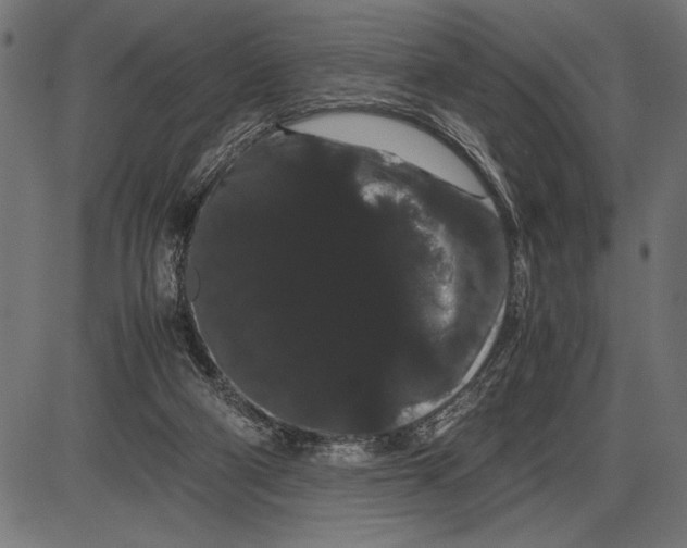 X0000086090114200704091337