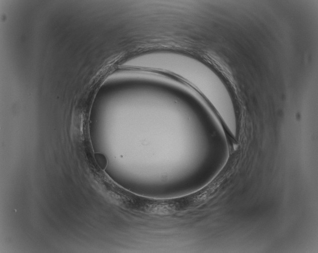 X0000086090115200704091337