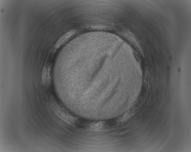 X0000086090116200704091337