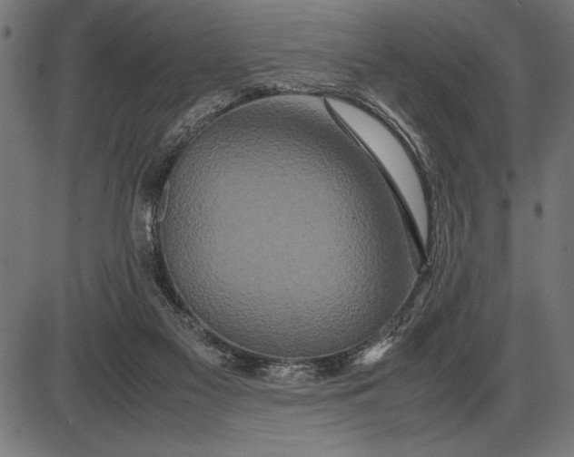 X0000086090117200704091337