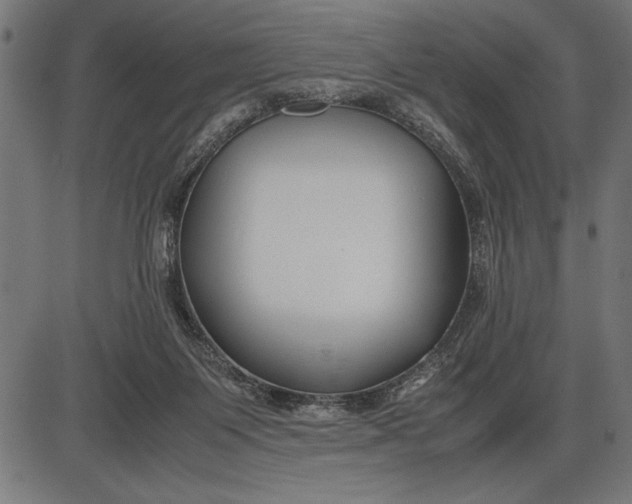 X0000086090119200704091336