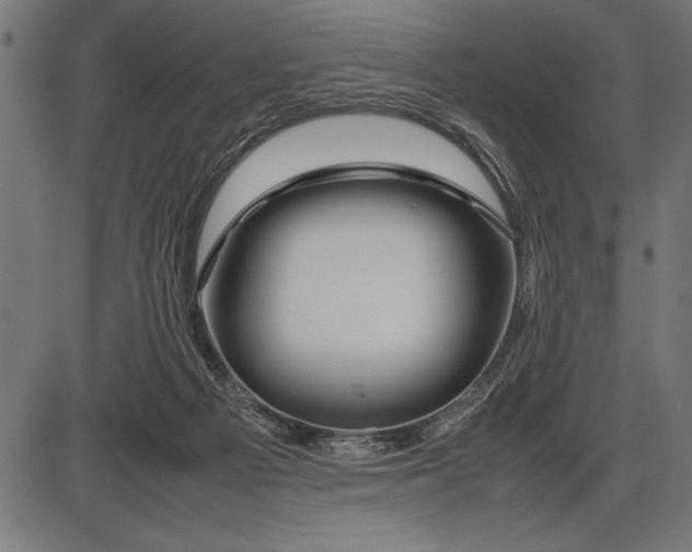 X0000086090121200704091336