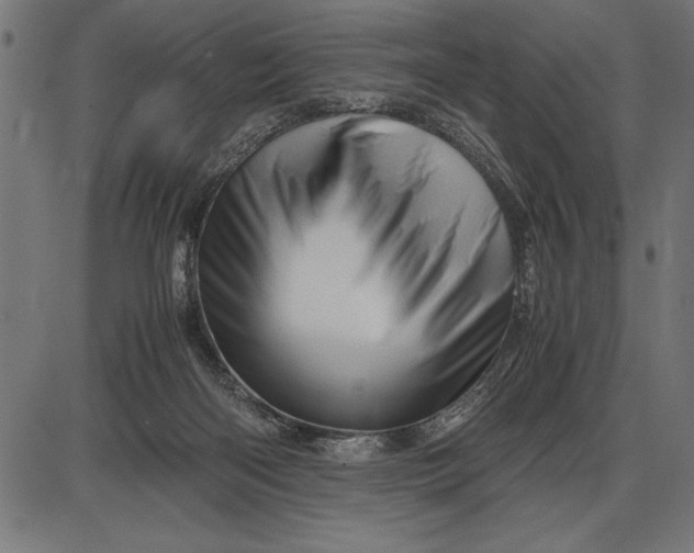 X0000086090122200704091336