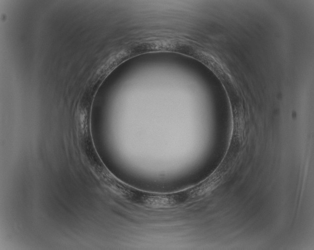 X0000086090123200704091336