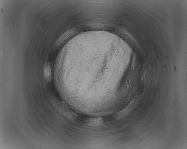 X0000086090124200704091336