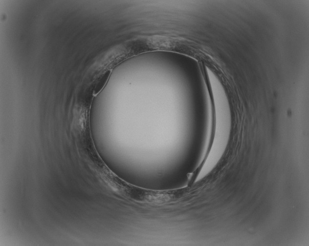 X0000086090125200704091336