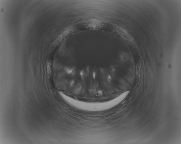 X0000086090127200704091336