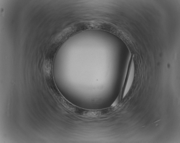 X0000086090129200704091336