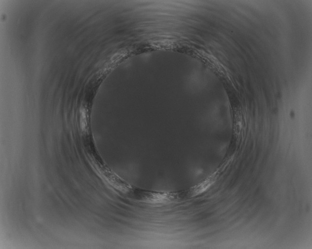 X0000086090130200704091336