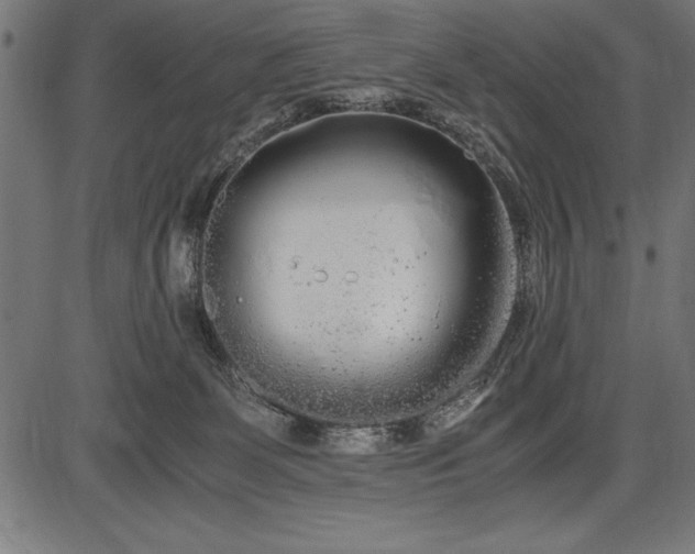 X0000086090131200704091336