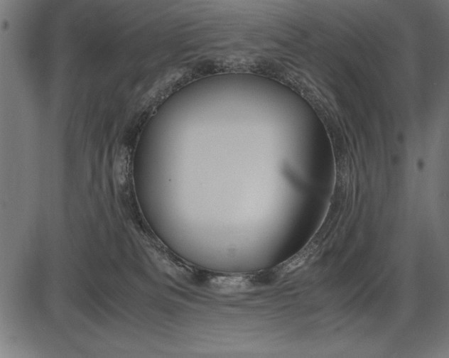 X0000086090133200704091336