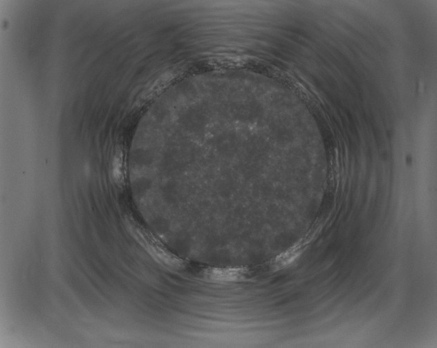 X0000086090134200704091336