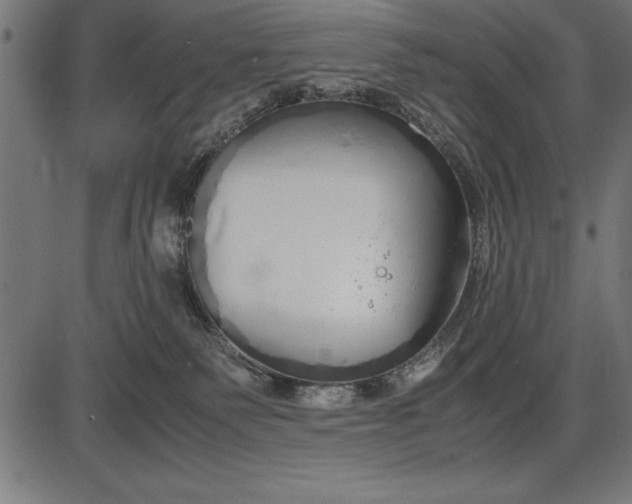 X0000086090135200704091336