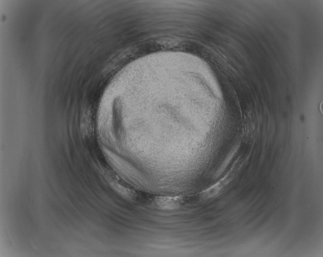 X0000086090136200704091336