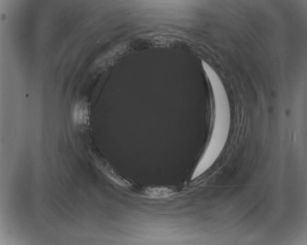 X0000086090137200704091336