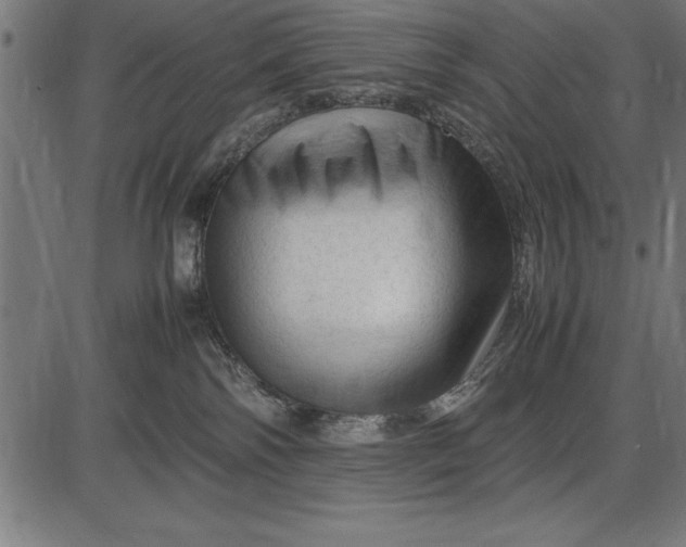 X0000086090138200704091336