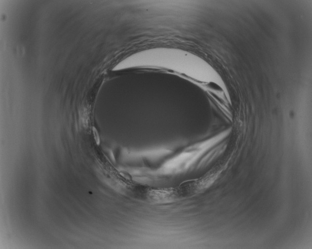 X0000086090139200704091336