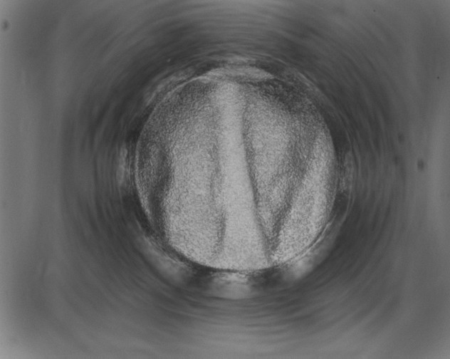 X0000086090140200704091336