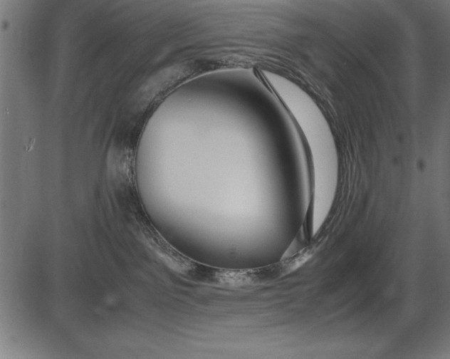 X0000086090141200704091336