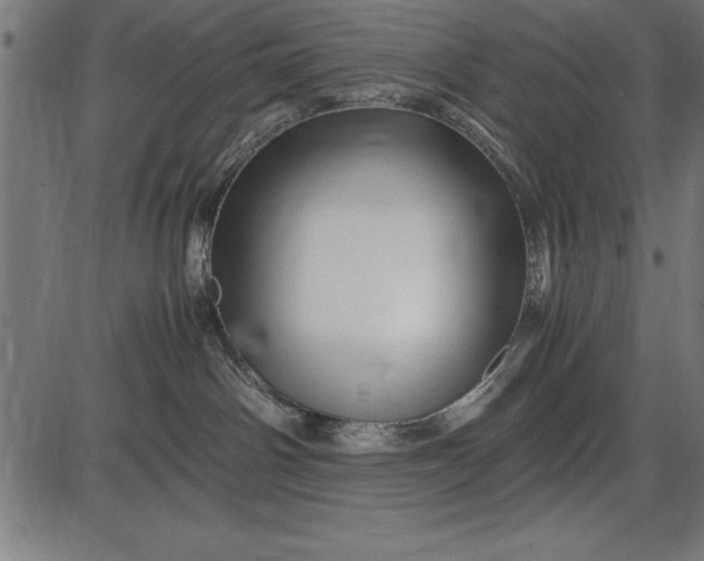 X0000086090142200704091336