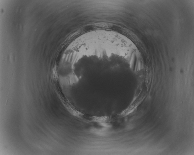 X0000086090143200704091336