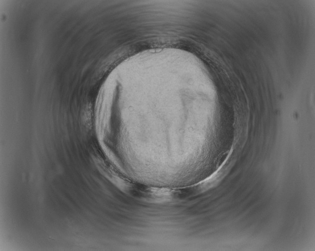 X0000086090144200704091336