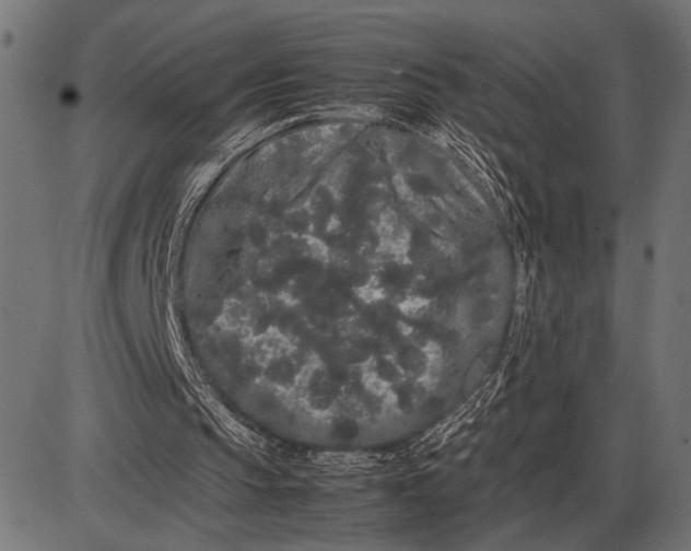 X0000086090145200704091335