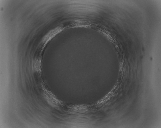 X0000086090146200704091335