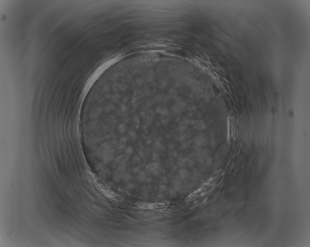 X0000086090147200704091335