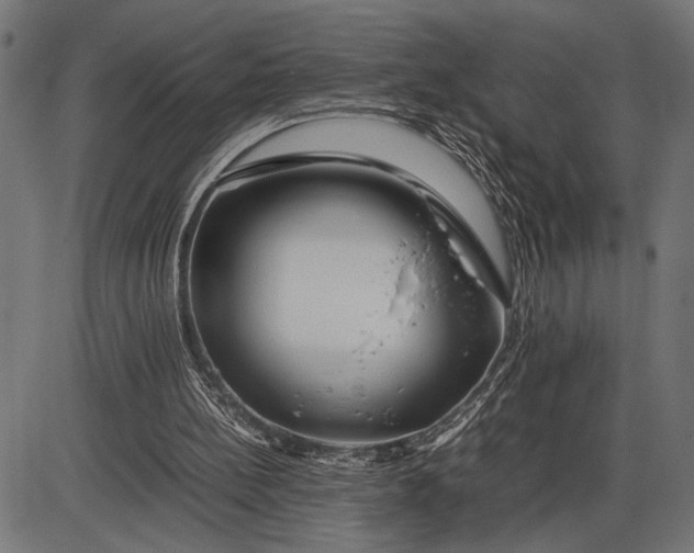 X0000086090148200704091335