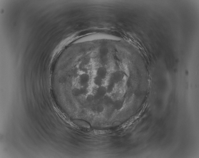 X0000086090149200704091335