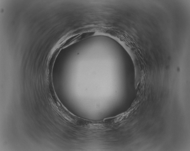 X0000086090150200704091335