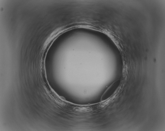 X0000086090151200704091335