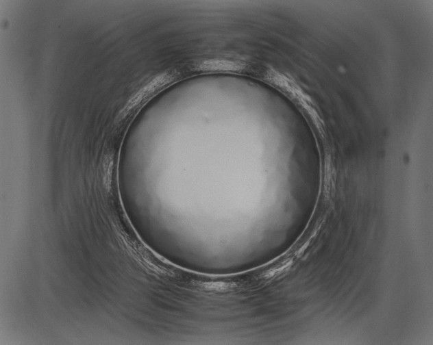 X0000086090153200704091335