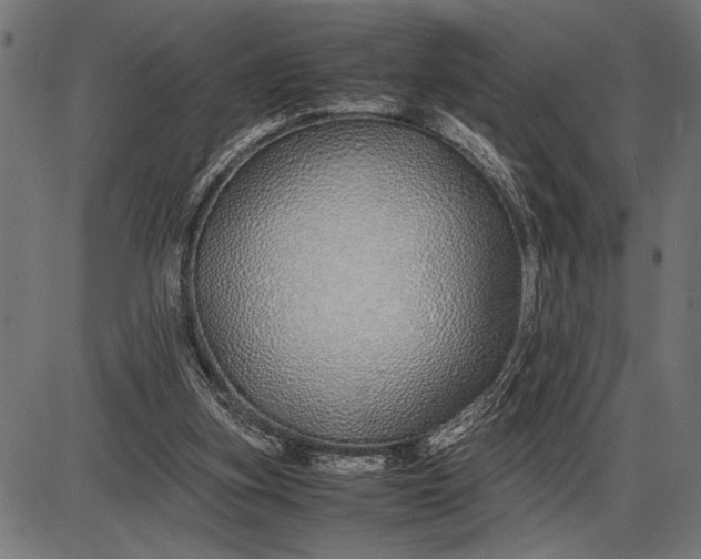 X0000086090155200704091335