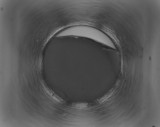 X0000086090156200704091335